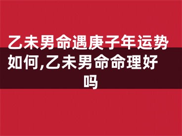 乙未男命遇庚子年运势如何,乙未男命命理好吗