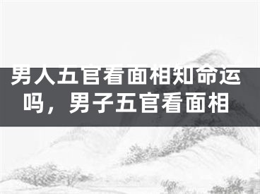 男人五官看面相知命运吗，男子五官看面相
