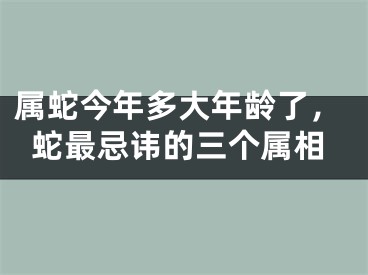 属蛇今年多大年龄了，蛇最忌讳的三个属相