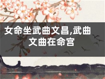 女命坐武曲文昌,武曲文曲在命宫
