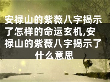 安禄山的紫薇八字揭示了怎样的命运玄机,安禄山的紫薇八字揭示了什么意思