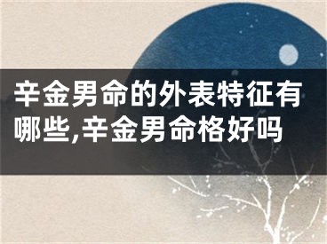 辛金男命的外表特征有哪些,辛金男命格好吗