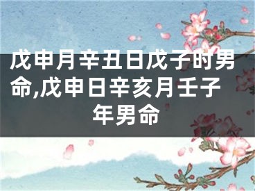 戊申月辛丑日戊子时男命,戊申日辛亥月壬子年男命