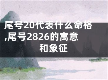 尾号20代表什么命格,尾号2826的寓意和象征