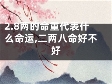 2.8两的命重代表什么命运,二两八命好不好