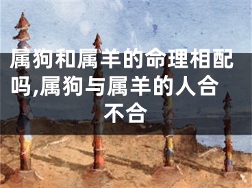 属狗和属羊的命理相配吗,属狗与属羊的人合不合