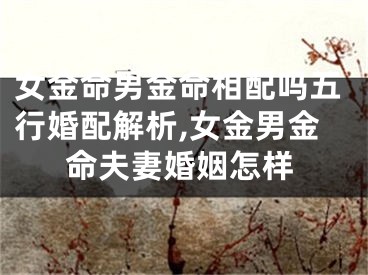 女金命男金命相配吗五行婚配解析,女金男金命夫妻婚姻怎样