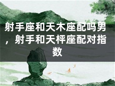 射手座和天木座配吗男，射手和天枰座配对指数