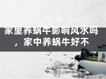 家里养蜗牛影响风水吗，家中养蜗牛好不