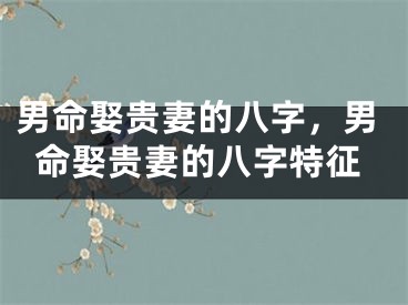 男命娶贵妻的八字，男命娶贵妻的八字特征