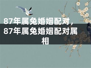 87年属兔婚姻配对，87年属兔婚姻配对属相