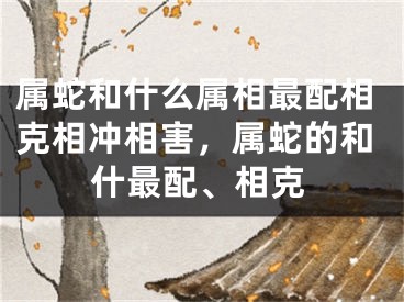属蛇和什么属相最配相克相冲相害，属蛇的和什最配、相克