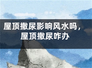屋顶撒尿影响风水吗，屋顶撒尿咋办
