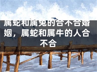 属蛇和属兔的合不合婚姻，属蛇和属牛的人合不合