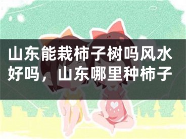 山东能栽柿子树吗风水好吗，山东哪里种柿子