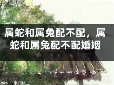属蛇和属兔配不配，属蛇和属兔配不配婚姻