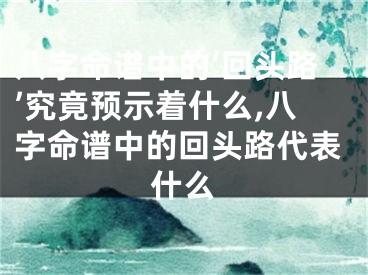八字命谱中的‘回头路’究竟预示着什么,八字命谱中的回头路代表什么