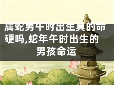 属蛇男午时出生真的命硬吗,蛇年午时出生的男孩命运