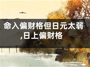 命入偏财格但日元太弱,日上偏财格