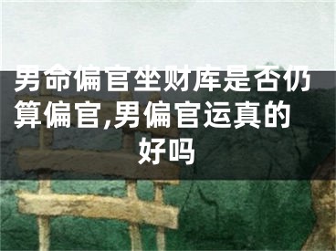 男命偏官坐财库是否仍算偏官,男偏官运真的好吗