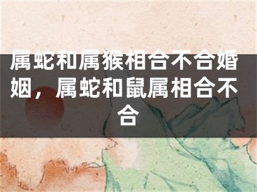 属蛇和属猴相合不合婚姻，属蛇和鼠属相合不合
