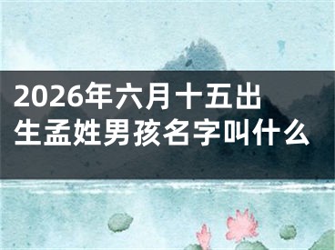2026年六月十五出生孟姓男孩名字叫什么
