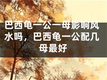 巴西龟一公一母影响风水吗，巴西龟一公配几母最好