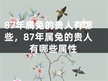 87年属兔的贵人有哪些，87年属兔的贵人有哪些属性