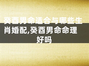 癸酉男命适合与哪些生肖婚配,癸酉男命命理好吗