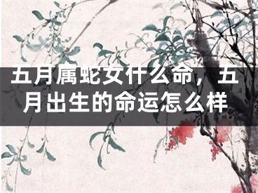 五月属蛇女什么命，五月出生的命运怎么样