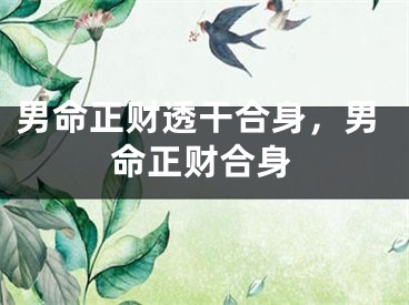 男命正财透干合身，男命正财合身