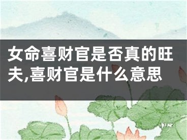 女命喜财官是否真的旺夫,喜财官是什么意思