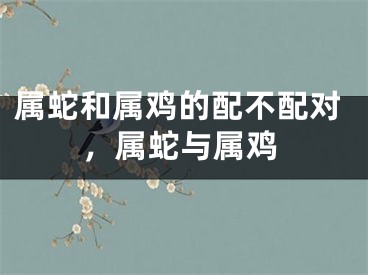 属蛇和属鸡的配不配对，属蛇与属鸡