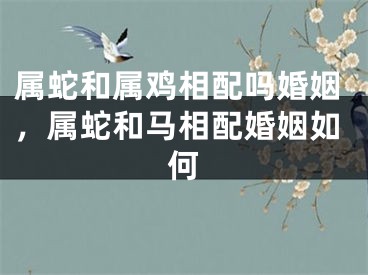 属蛇和属鸡相配吗婚姻，属蛇和马相配婚姻如何