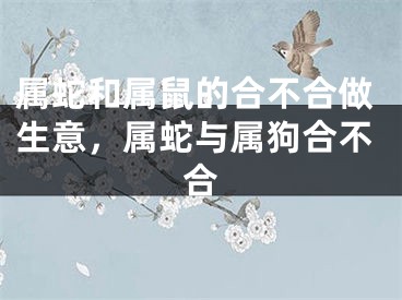 属蛇和属鼠的合不合做生意，属蛇与属狗合不合