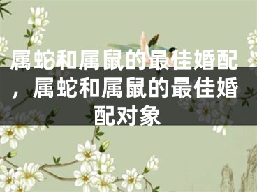 属蛇和属鼠的最佳婚配，属蛇和属鼠的最佳婚配对象