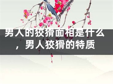 男人的狡猾面相是什么，男人狡猾的特质