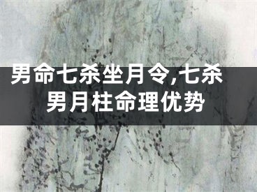 男命七杀坐月令,七杀男月柱命理优势