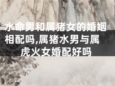 水命男和属猪女的婚姻相配吗,属猪水男与属虎火女婚配好吗