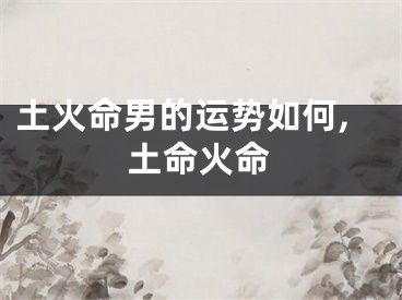 土火命男的运势如何,土命火命