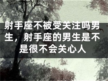 射手座不被受关注吗男生，射手座的男生是不是很不会关心人