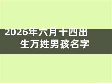 2026年六月十四出生万姓男孩名字
