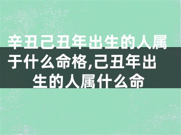 辛丑己丑年出生的人属于什么命格,己丑年出生的人属什么命