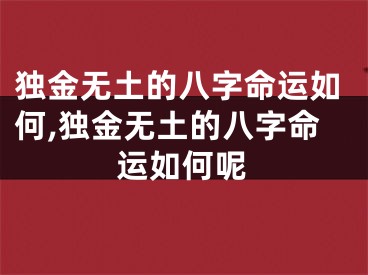 独金无土的八字命运如何,独金无土的八字命运如何呢