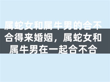 属蛇女和属牛男的合不合得来婚姻，属蛇女和属牛男在一起合不合
