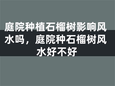 庭院种植石榴树影响风水吗，庭院种石榴树风水好不好