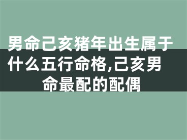 男命己亥猪年出生属于什么五行命格,己亥男命最配的配偶