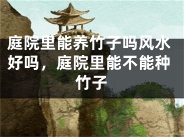 庭院里能养竹子吗风水好吗，庭院里能不能种竹子