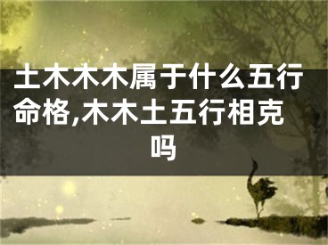 土木木木属于什么五行命格,木木土五行相克吗