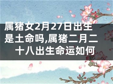 属猪女2月27日出生是土命吗,属猪二月二十八出生命运如何